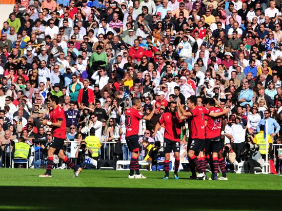 体育活动 体育活动